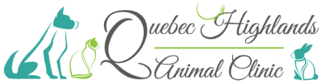 Desktop_Quebec_Logo