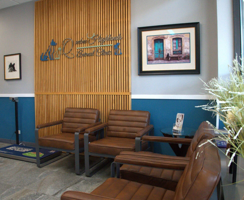 Desktop_Home_Get_To_know A waiting area with brown leather chairs, a wooden slat accent wall, framed photos, a side table with magazines, and a decorative plant in the foreground. The area is neat and modern.